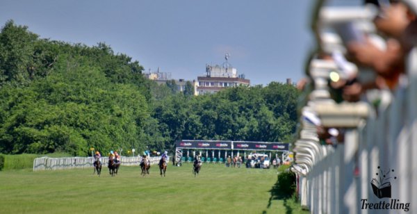 DSC_1535