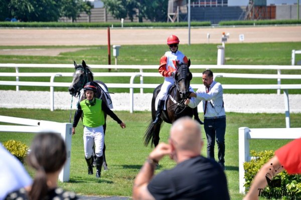 DSC_1561